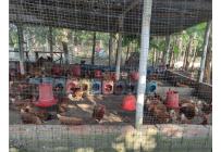 Lotes, Venta, Candelaria - $980.000.000