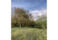 Lotes, Venta, Buga - $300.000.000