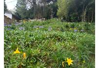 Fincas y Casas Campestres, Venta, Saladito - $2.500.000.000