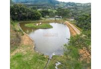 Lotes, Venta, Dagua - $290.000.000