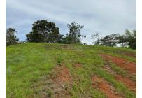 Lotes, Venta, Dagua - $155.000.000