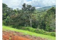 Lotes, Venta, Dagua - $155.000.000