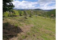 Lotes, Venta, Dagua - $180.000.000