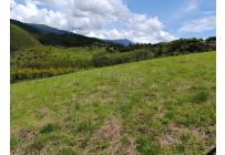 Lotes, Venta, Dagua - $180.000.000