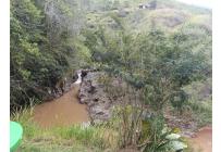 Lotes, Venta, Dagua - $180.000.000