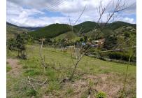 Lotes, Venta, Dagua - $180.000.000