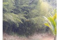 Lotes, Venta, Dagua - $180.000.000