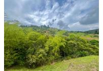 Lotes, Venta, Yumbo - $600.000.000