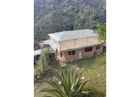 Fincas y Casas Campestres, Venta, Ginebra - $350.000.000