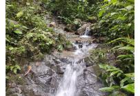 Fincas y Casas Campestres, Venta, Ginebra - $350.000.000