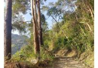 Fincas y Casas Campestres, Venta, Ginebra - $350.000.000