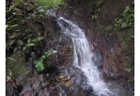 Fincas y Casas Campestres, Venta, Ginebra - $350.000.000