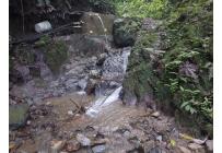 Fincas y Casas Campestres, Venta, Ginebra - $350.000.000