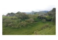 Casas, Venta, Calima (Darién) - $650.000.000