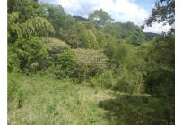 Lotes, Venta, Dapa - $732.000.000