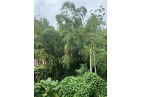 Apartamentos, Venta, Dos Quebradas - $235.000.000