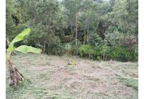Fincas y Casas Campestres, Venta, Guacarí - $80.000.000