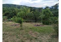 Fincas y Casas Campestres, Venta, Guacarí - $80.000.000