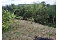 Fincas y Casas Campestres, Venta, Guacarí - $80.000.000