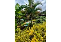 Fincas y Casas Campestres, Venta, Yumbo - $1.950.000.000