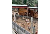 Fincas y Casas Campestres, Venta, Yumbo - $1.950.000.000