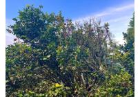 Casas, Venta, Yumbo - $680.000.000