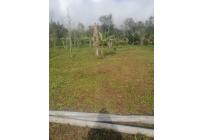 Lotes, Venta, Calima (Darién) - $170.000.000