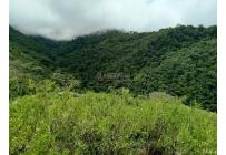 Fincas y Casas Campestres, Venta, Dagua - $700.000.000