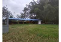 Fincas y Casas Campestres, Venta, Candelaria - $4.000.000.000