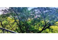 Apartamentos, Venta, Ciudad Bochalema - $425.000.000