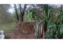 Lotes, Venta, Bella Suiza - $375.000.000