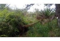 Lotes, Venta, Bella Suiza - $375.000.000