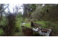 Lotes, Venta, Cascajal - $375.000.000