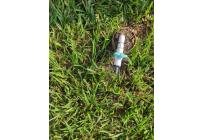 Lotes, Venta, Candelaria - $980.000.000