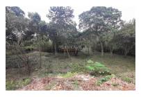 Lotes, Venta, Pance - $2.137.000.000