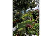 Fincas y Casas Campestres, Venta, Popayán - $1.300.000.000