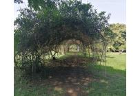 Lotes, Venta, Hacienda Kachipay - $1.800.000.000