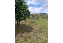 Lotes, Venta, Dagua - $160.000.000