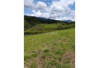 Lotes, Venta, Dagua - $160.000.000