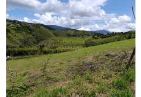 Lotes, Venta, Dagua - $160.000.000