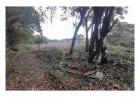 Lotes, Venta, Pance - $2.137.000.000