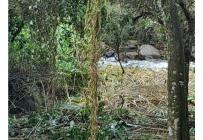 Lotes, Venta, Pance - $2.137.000.000