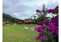 Fincas y Casas Campestres, Venta, Dagua - $1.500.000.000