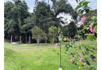 Fincas y Casas Campestres, Venta, Dagua - $1.500.000.000