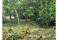 Lotes, Venta, Pance - $2.137.000.000