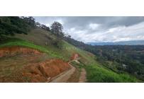 Lotes, Venta, Dagua - $420.000.000