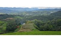 Lotes, Venta, Dagua - $420.000.000