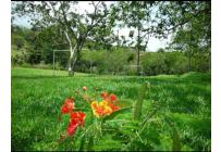 Lotes, Venta, Jamundí - $92.000.000