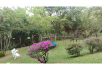 Apartamentos, Venta, Bellavista - $430.000.000