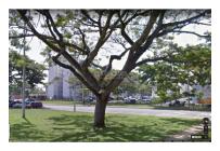 Apartamentos, Venta, Jamundí - $195.000.000